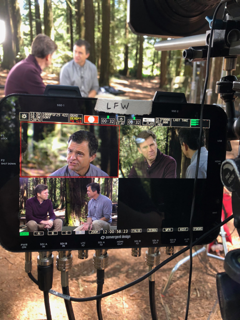 3 camera angles - Redwood Tree Genome Project for CBS Sunday Morning.